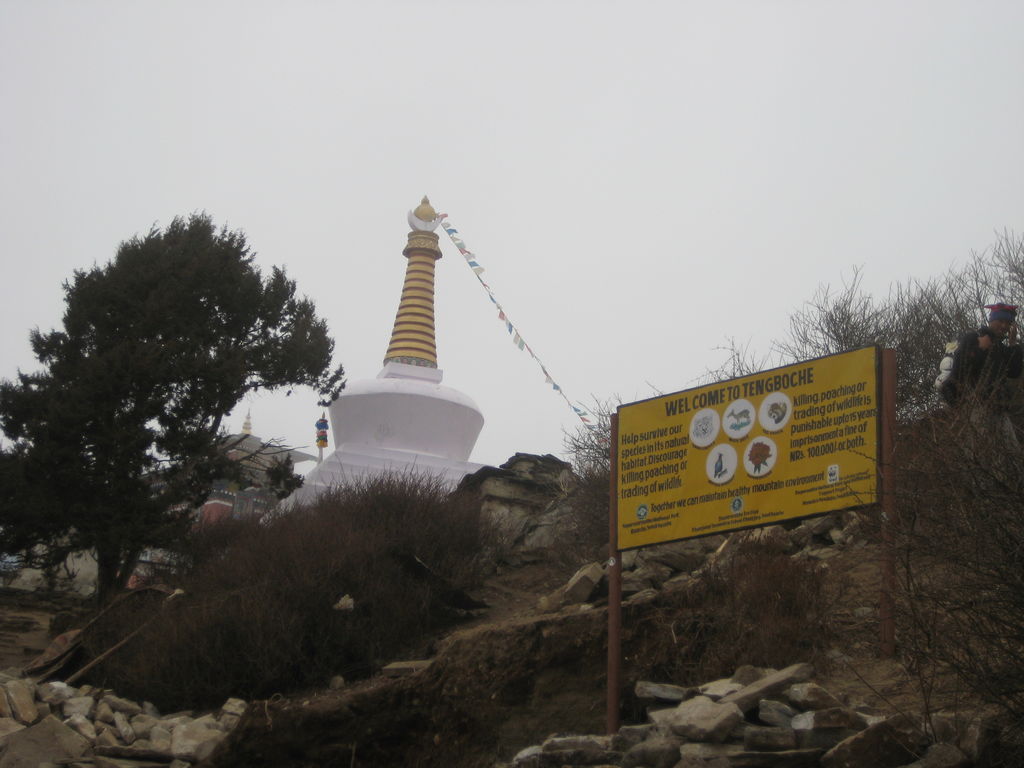 After a long uphill to get to Tengboche