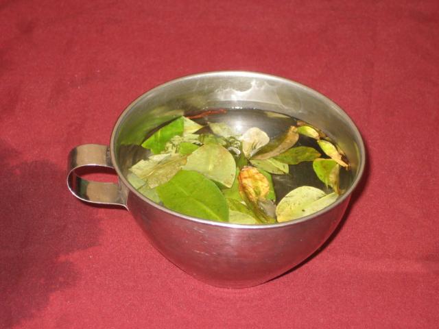 Coca tea!