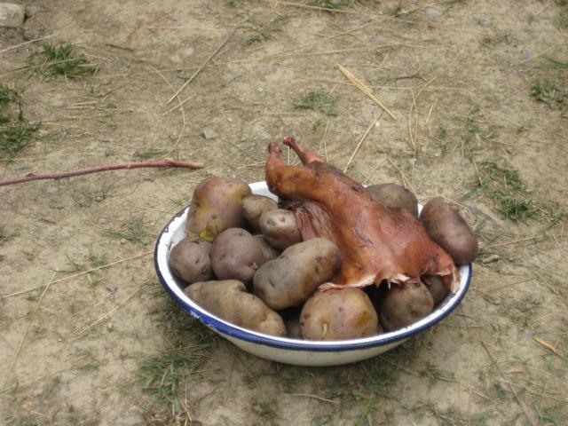 Potatoes and guinea pig (yes, really, supposedly it's a delicacy)