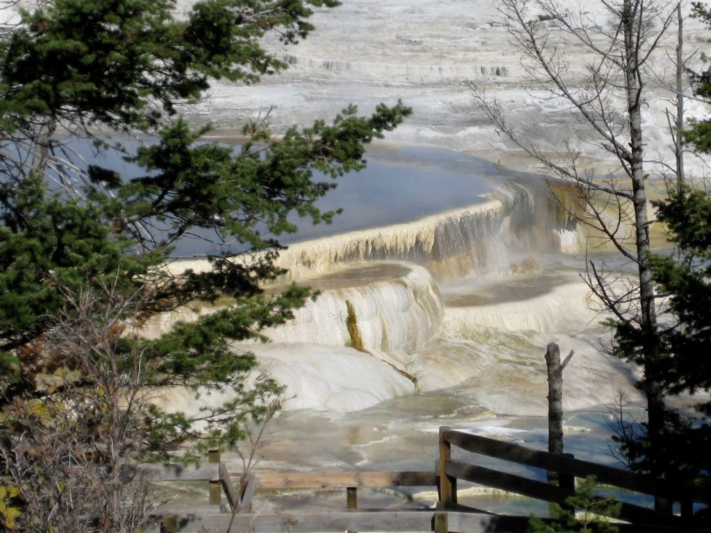 View of some of the upper springs