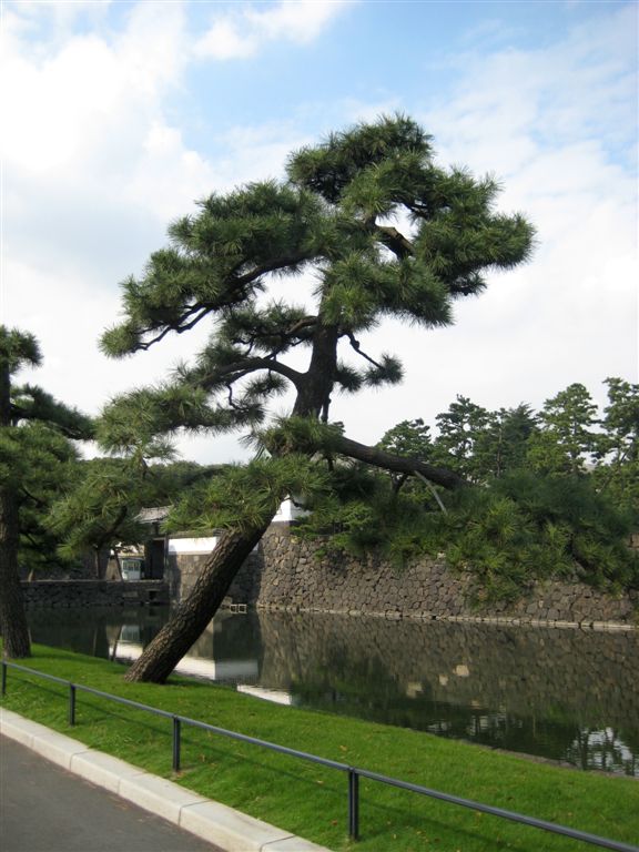 Tree and other gate