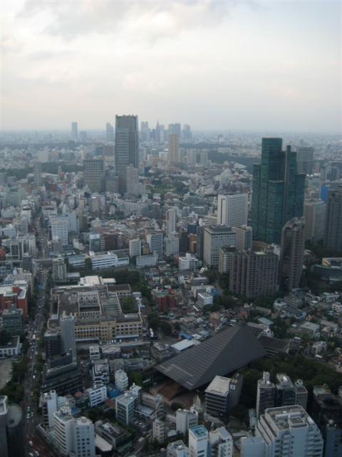 View from the top observation deck