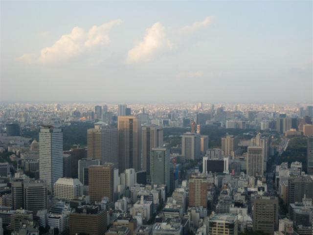 The green patch is the Imperial Palace grounds and garden