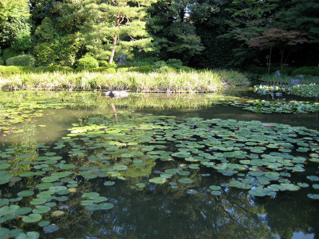 Heron in Heian Shrine garden