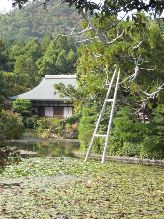 Ryoanji Temple grounds